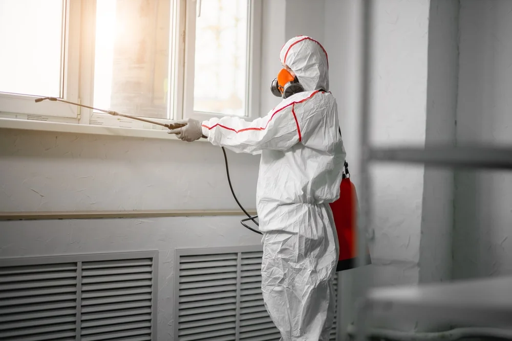 Professional mold remediation services in West Jefferson, OH